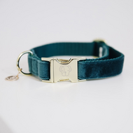 Kentucky honden halsband Velvet Smaragd