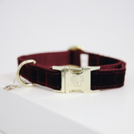 Kentucky honden halsband corduroy Bordeaux 