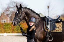 Equestrian Stockholm golden brass dressuur