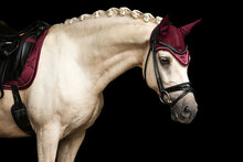 Equestrian Stockholm oornetje Bordeaux