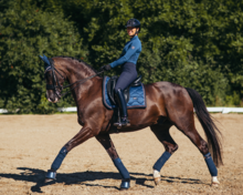 Equestrian Stockholm rijbroek elite navy full grip