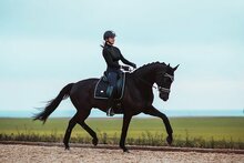 Equestrian Stockholm Black edition Dressuur