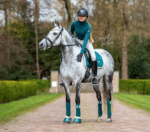 Equestrian Stockholm Amazonite dressuur zadeldek 