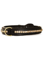 Equestrian Stockholm hond halsband Champagne