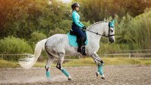 Le Mieux Dressage Suede Azure