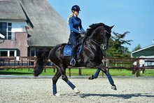 Equestrian Stockholm Monaco blue dressuur zadeldek 