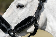  Equestrian Stockholm Halster met touw Total Eclipse PONY