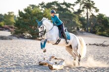  Equestrian Stockholm Vision top aurora blues