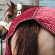 Kentucky Showdeken Velvet Bordeaux 