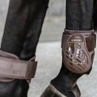 Kentucky kogelbeschermer Jonge paarden Bruin