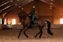 Equestrian Stockholm SPORTIVE Sycamore Green Dressuur 