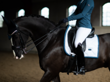 Equestrian Stockholm White - Blue Meadow wedstrijd Dressuur 