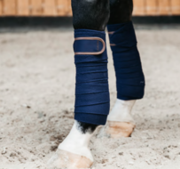 Kentucky bandages polar fleece navy