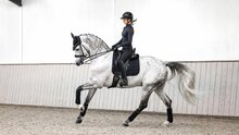 Le Mieux Crystal Suede Dressage Black FULL