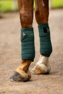 Le Mieux CLASSIC  bandages  Spruce