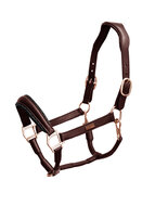  Equestrian Stockholm anatomisch LEREN Halster Moonless Night PONY