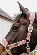 Kentucky Teddy Fleece halster oud roze
