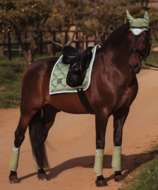 Equestrian Stockholm pistachio White  Jump pony