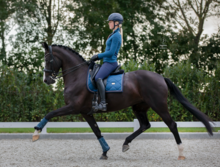 Equestrian Stockholm Monaco blue dressuur zadeldek 