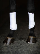 Equestrian Stockholm Mesh peesbeschermers  wit - zilver