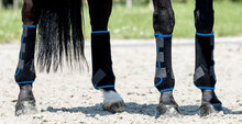 IndraHorse FANTASY zwart/koningsblauw
