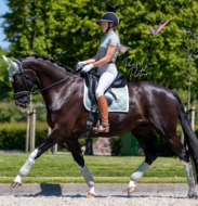  Equestrian Stockholm vliegenoortje Pistachio 