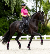 IndraHorse FANTASY zwart/ hard roze