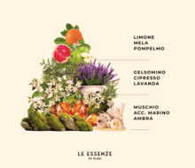 Wasparfum Le Essenze di Elda You Go  Grote fles 500 ml.