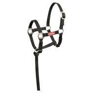 Premiere veulenhalster Brisk zwart XS