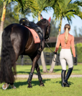 Equestrian Stockholm modern zadeldek  dressuur Coral