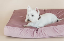 Kentucky honden bed velvet oud roze 