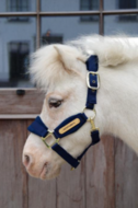  Kentucky Velvet halster Navy MINI SHETTY 