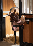 Eskadron Paarden speelgoed HIPPO