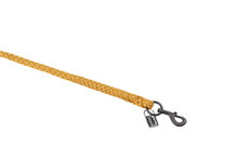 Eskadron Halstertouw Regular Platinum &#039;25 Golden Yellow