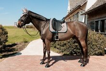 Kentucky Pied De Poule Dressuur Bordeaux/Marine maat Full
