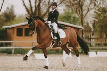Kentucky singel met bont kort 