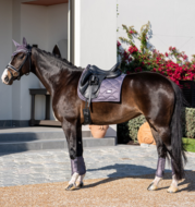 Equestrian Stockholm Mesh peesbeschermers  Dark Violet 