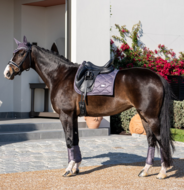 Equestrian Stockholm - CLASSIC - oornetje Dark Violet 