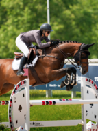 Equestrian Stockholm zadeldek  JUMP Modern White dark Violet  full