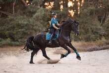 Equestrian Stockholm zadeldek  dressuur Teal Blue 