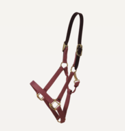 Kentucky Nylon Halster Breakaway Bordeaux