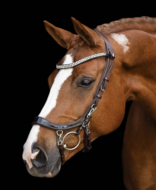 Presteq anatomisch Hoofdstel Fay Sport lakleder - bruin