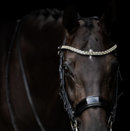 Presteq anatomisch stang &amp; trens hoofdstel FayPerform Shine lakleder - zwart 