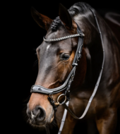 Presteq anatomisch Hoofdstel FaySport Glitter lakleder Zwart 