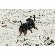 Kentucky fake fur hondenjas 