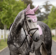 Le Mieux Essence  Vliegenoortje Fondant roze - Full