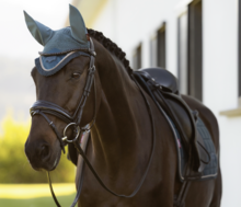 Le Mieux Loire vliegenoortje Jungle full