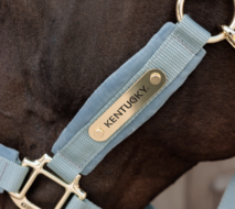 Kentucky Velvet halster lichtblauw