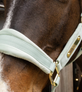 Kentucky Velvet halster Mint