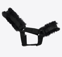 Cavalleria Toscane Hobby Horse Halter
